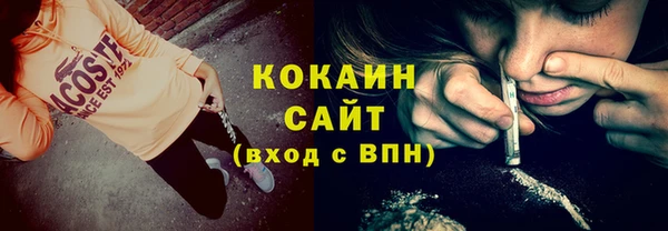 сатива Баксан