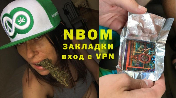 сатива Баксан