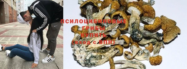 Альфа ПВП Балабаново
