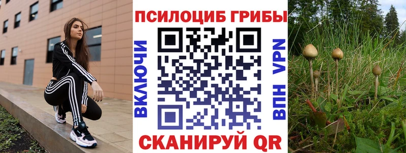 Псилоцибиновые грибы Psilocybe  купить закладку  Кремёнки 